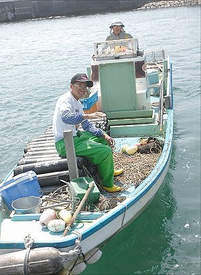 浜名湖アナゴ漁　ツボ漁は親子力合せて
