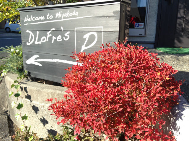 紅葉を見に来てください(^0^)v