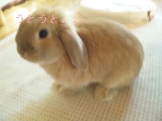 うつらうつら・・・