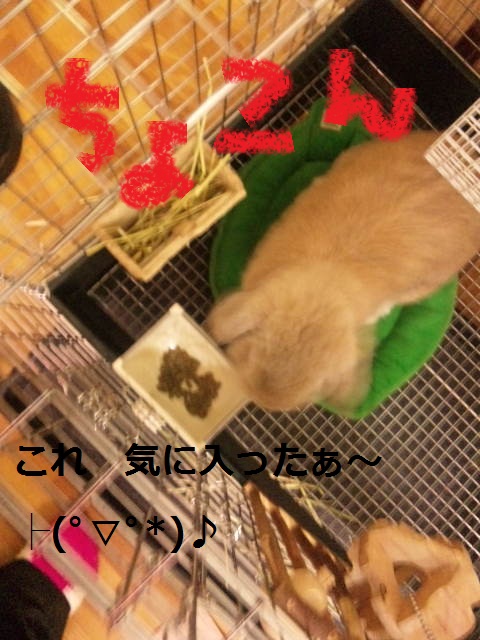 ご褒美ヾ(@°▽°@)ノ