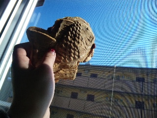 泳げたい焼き君