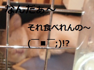 ご褒美ヾ(@°▽°@)ノ