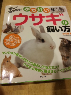 うさちゃんの本