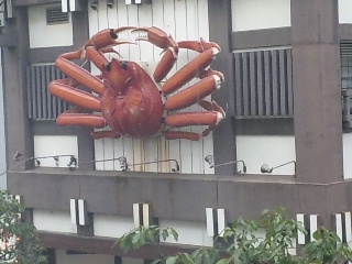 今日のお昼は蟹・・・・
