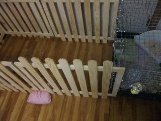 おうち改装☆