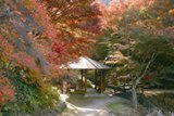 宮路山もみじまつり