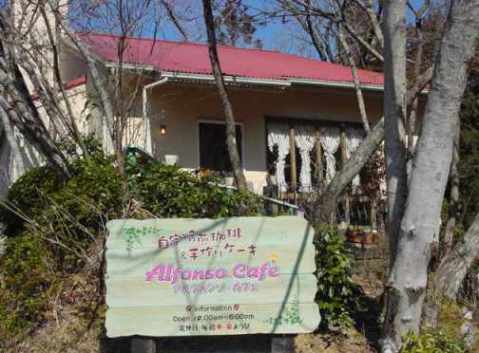 アルフォンソカフェ