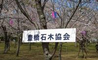 石木協会展示会；豊橋市向山公園桜祭りにて