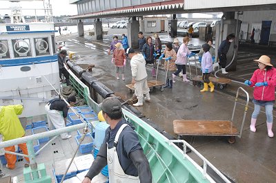 舞阪港しらす漁　港の女は男を助ける力持ち