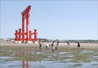 弁天島アマモ場観察会　海の生き物たち