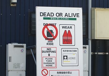 DEAD OR ALIVE