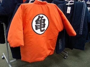 亀仙流