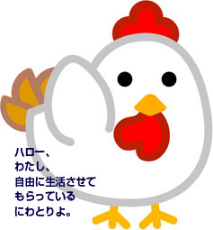 入荷のお知らせ 8/19(月)~8/21(水)