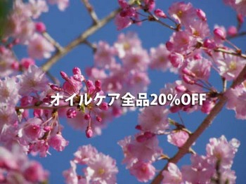 オーガニックの各種オイルケア20%OFF 3/20(月) オーガニックの各種オイルケア20%OFF 3/20(月)