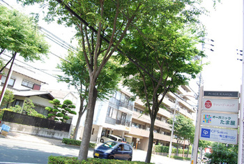 多種類のオーガニックのお野菜、天然酵母パンが揃いました。
