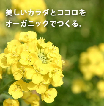 砂糖とアルコールの共通点