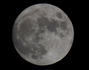 明日、11月18日(月)は満月