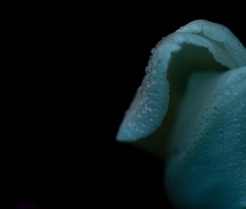 しわ・肌のたるみ 発汗できれいに しわ・肌のたるみ 発汗できれいに