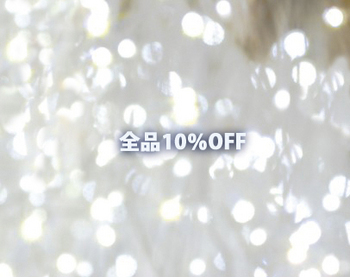 1/26(日)・27(月)全品10%割引 1/26(日)・27(月)全品10%割引