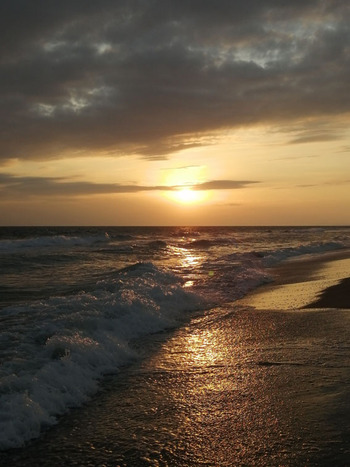 晩秋 海辺の散歩 晩秋 海辺の散歩
