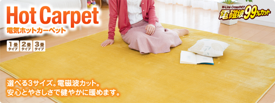電磁波カットドライヤー10%OFF 電磁波カットドライヤー10%OFF