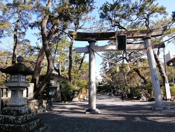 51.化学物質過敏症(CS) 身近な森林浴のすすめ 51.化学物質過敏症(CS) 身近な森林浴のすすめ