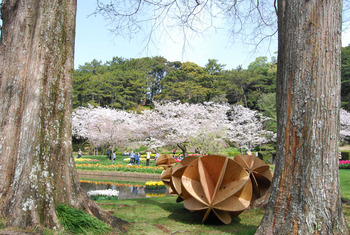桜吹雪、春の花 桜吹雪、春の花