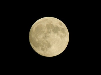 2017年2月11日土曜日 満月 2017年2月11日土曜日 満月
