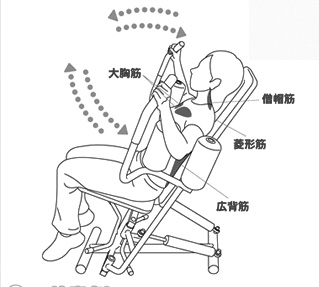定期的な運動
