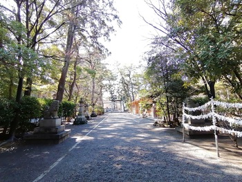 51.化学物質過敏症(CS) 身近な森林浴のすすめ 51.化学物質過敏症(CS) 身近な森林浴のすすめ