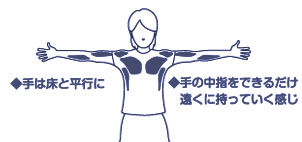 定期的な運動