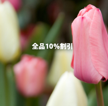 2018.4/15(日)・16(月) 全品10%割引 2018.4/15(日)・16(月) 全品10%割引