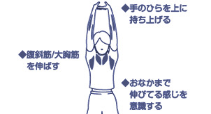 定期的な運動