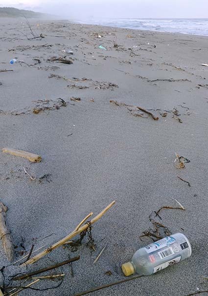 遠州灘のプラゴミが増えた理由とは 遠州灘のプラゴミが増えた理由とは