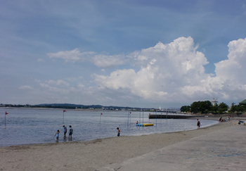 2019年夏 遠州浜での砂浴 2019年夏 遠州浜での砂浴