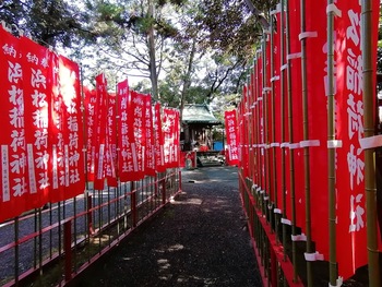 51.化学物質過敏症(CS) 身近な森林浴のすすめ 51.化学物質過敏症(CS) 身近な森林浴のすすめ