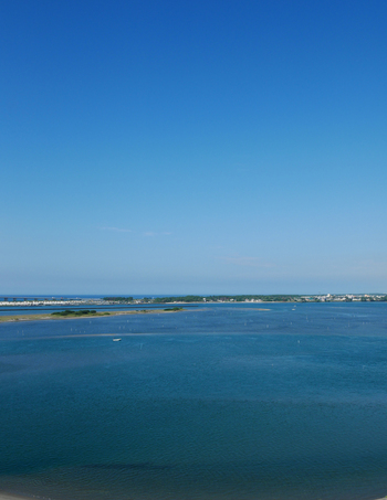 夏の朝空とバラの花 夏の朝空とバラの花