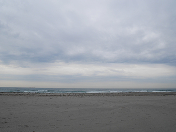 遠州浜 砂浴 遠州浜 砂浴