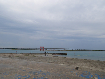 遠州浜 砂浴 遠州浜 砂浴