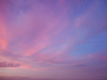 真夏の朝空 真夏の朝空