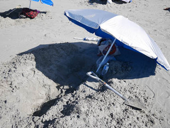 2019年夏 遠州浜での砂浴 2019年夏 遠州浜での砂浴