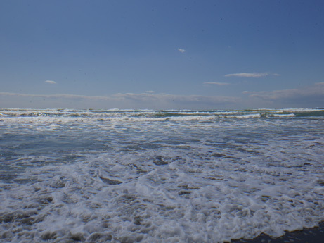今年はじめての海水 今年はじめての海水
