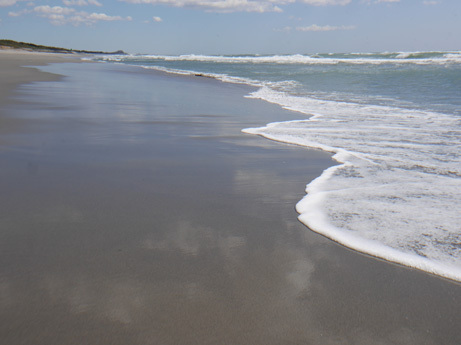 今年はじめての海水 今年はじめての海水