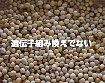 「日本における承認済み遺伝子組換え作物」って何? 「日本における承認済み遺伝子組換え作物」って何?