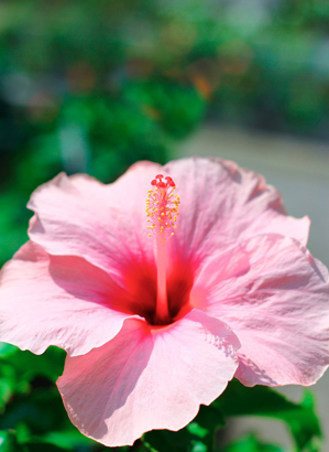 冬より夏の方が、脂肪が増えますのでご注意 冬より夏の方が、脂肪が増えますのでご注意