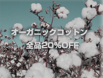 12/30(金) オーガニックコットン20%割引 12/30(金) オーガニックコットン20%割引