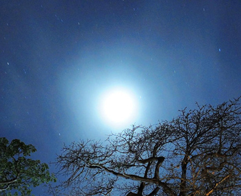 2014年4月15日(火)は満月・皆既月食 2014年4月15日(火)は満月・皆既月食