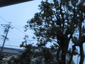 最大級台風が静岡県に上陸！