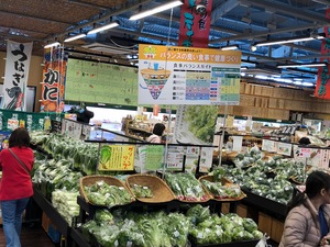 野菜が沢山! 野菜が沢山!