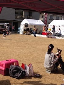 浜松ふれあいフェスティバル